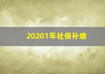 20201年社保补缴