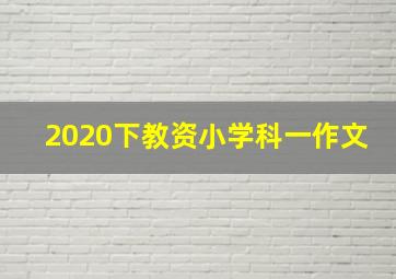 2020下教资小学科一作文