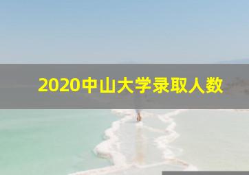 2020中山大学录取人数