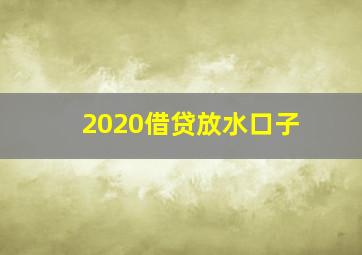 2020借贷放水口子