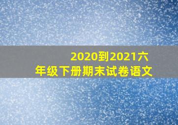 2020到2021六年级下册期末试卷语文