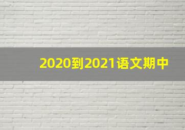 2020到2021语文期中