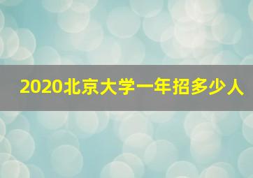 2020北京大学一年招多少人