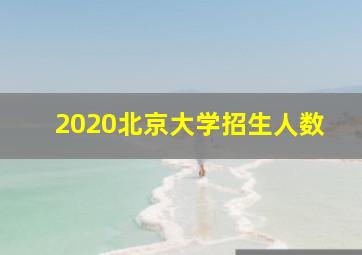 2020北京大学招生人数