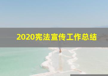 2020宪法宣传工作总结