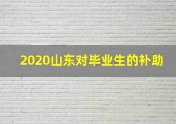 2020山东对毕业生的补助