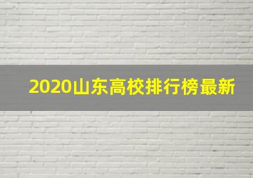 2020山东高校排行榜最新