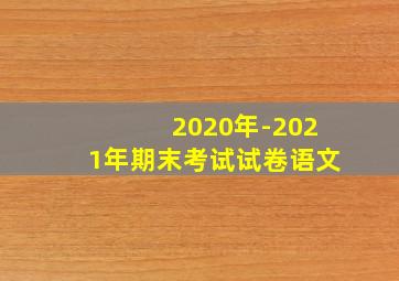 2020年-2021年期末考试试卷语文