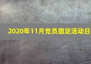 2020年11月党员固定活动日