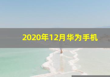 2020年12月华为手机