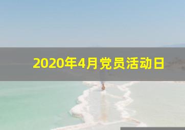 2020年4月党员活动日