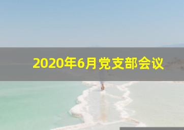 2020年6月党支部会议