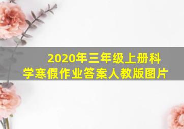 2020年三年级上册科学寒假作业答案人教版图片