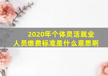 2020年个体灵活就业人员缴费标准是什么意思啊