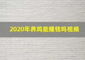 2020年养鸡能赚钱吗视频