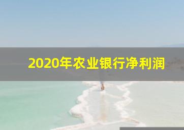 2020年农业银行净利润