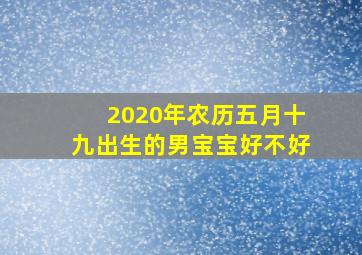 2020年农历五月十九出生的男宝宝好不好