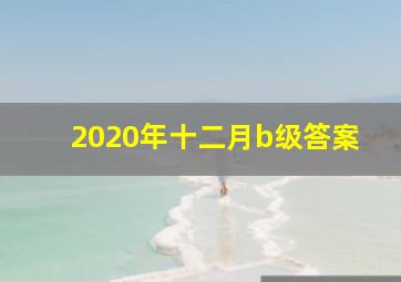 2020年十二月b级答案