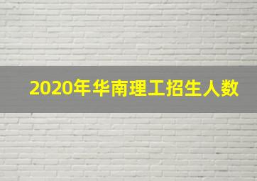 2020年华南理工招生人数