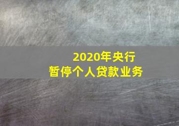 2020年央行暂停个人贷款业务