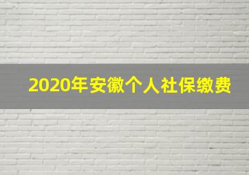 2020年安徽个人社保缴费