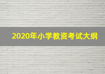 2020年小学教资考试大纲