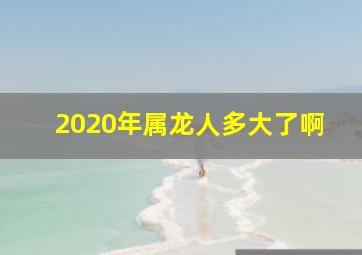 2020年属龙人多大了啊