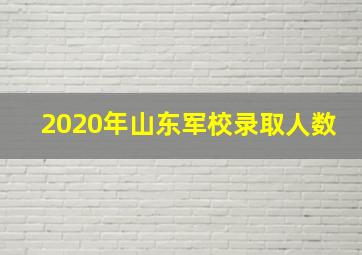 2020年山东军校录取人数