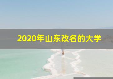 2020年山东改名的大学