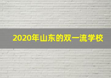 2020年山东的双一流学校