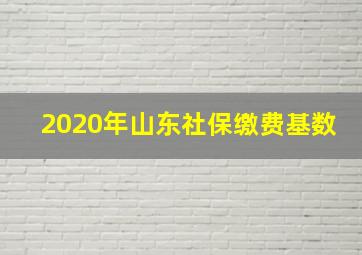 2020年山东社保缴费基数