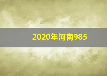 2020年河南985