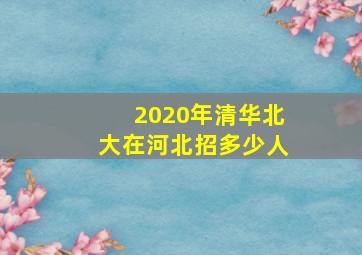 2020年清华北大在河北招多少人