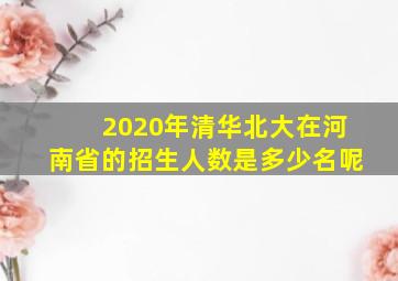 2020年清华北大在河南省的招生人数是多少名呢