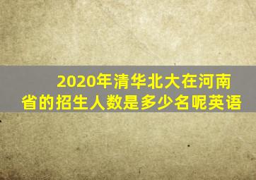 2020年清华北大在河南省的招生人数是多少名呢英语