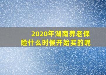 2020年湖南养老保险什么时候开始买的呢