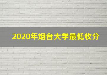 2020年烟台大学最低收分