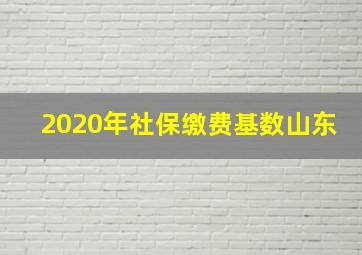 2020年社保缴费基数山东