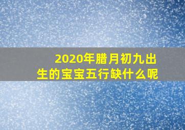 2020年腊月初九出生的宝宝五行缺什么呢