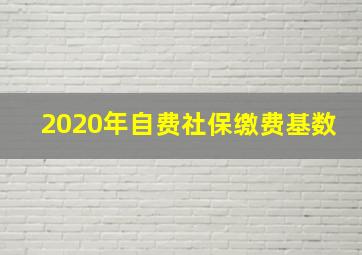 2020年自费社保缴费基数