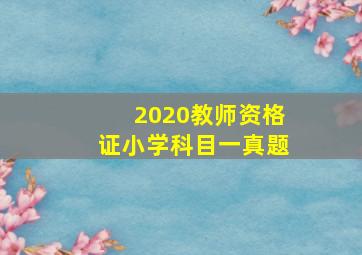 2020教师资格证小学科目一真题