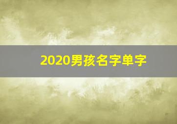 2020男孩名字单字