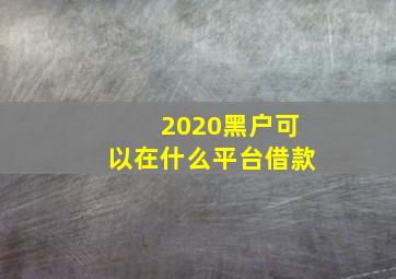 2020黑户可以在什么平台借款