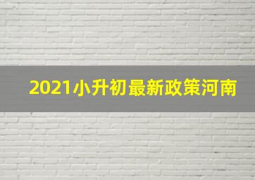 2021小升初最新政策河南