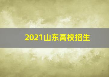 2021山东高校招生