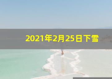 2021年2月25日下雪