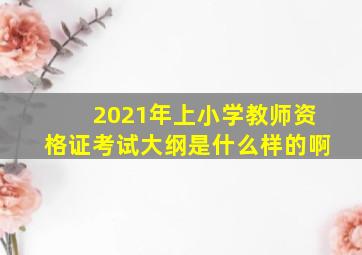 2021年上小学教师资格证考试大纲是什么样的啊