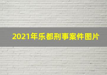 2021年乐都刑事案件图片