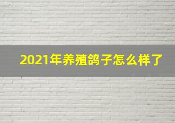 2021年养殖鸽子怎么样了