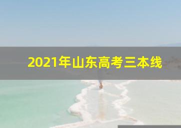 2021年山东高考三本线